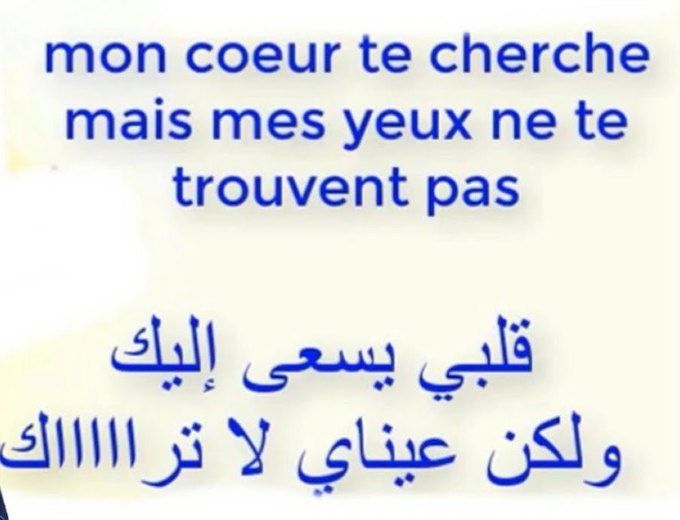 كلمات دلع للحبيب بالفرنسية
