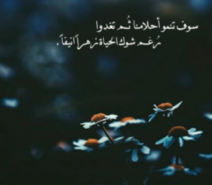 خلفيات واتس اب حلوة