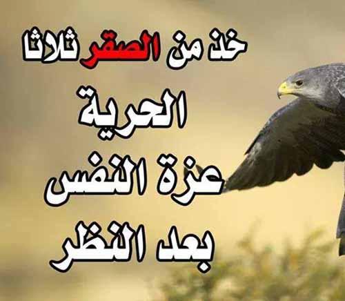 عبارات مدح النفس قصيرة
