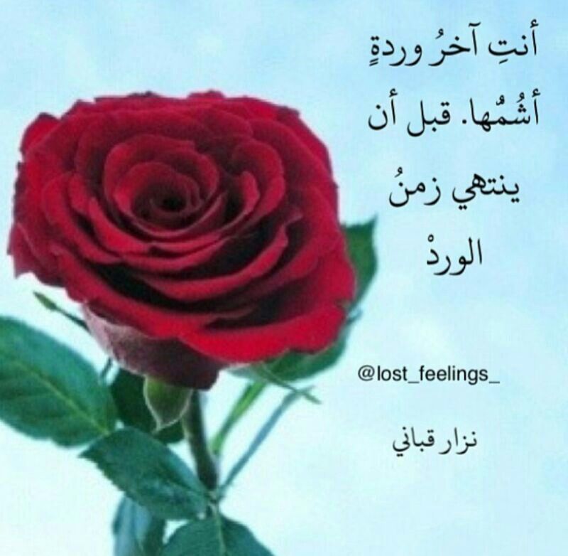 كلام غزل عن الورد