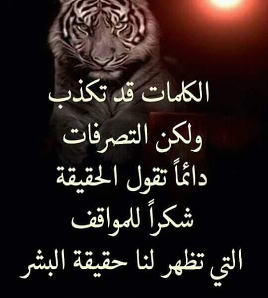 حالات واتس حزينة وعتاب كتابة