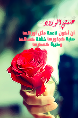 اجمل ما قيل عن الورد