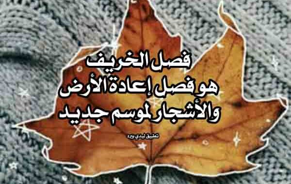 خواطر عن الخريف والمطر