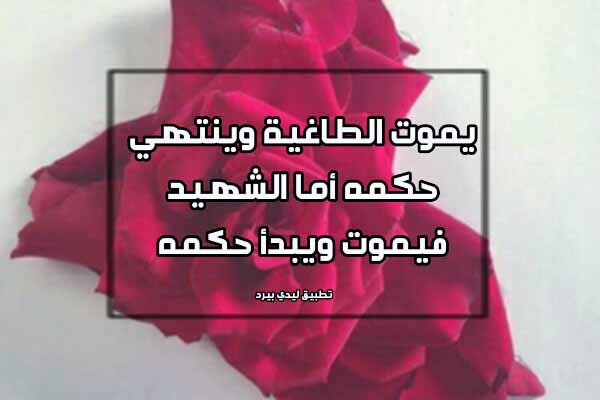 خواطر عن الشهداء فيس بوك