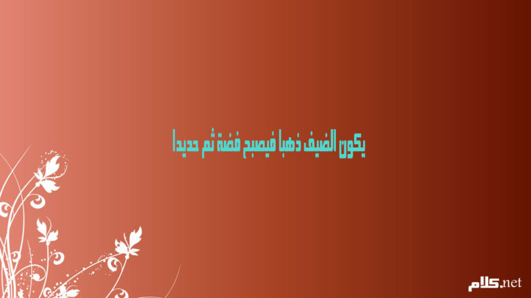 امثال شعبية عن الضيافة