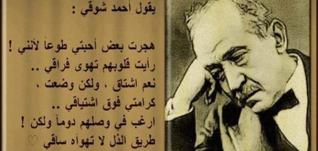 خواطر عن الدنيا و الناس الغدارة