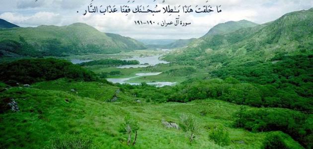 خواطر عن الجبال والطبيعة 