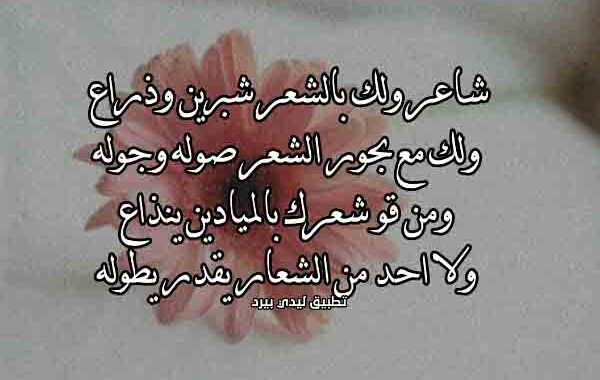 رد مدح شاعر على شعره