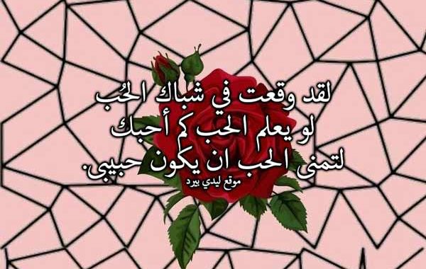 خواطر قبل النوم للحبيب