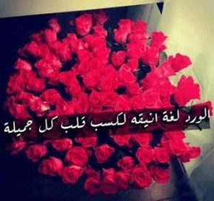 كلام عن الورد مزخرف