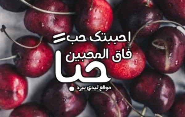 حالات واتس اب حب وغزل