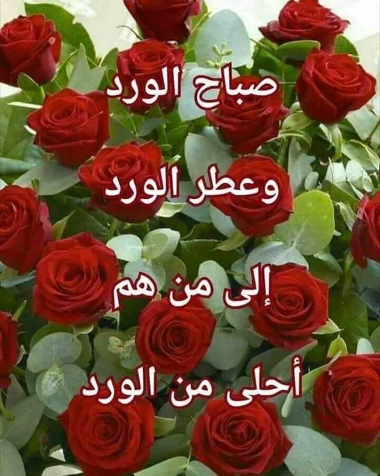 صباح الورد والفل والياسمين