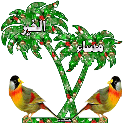 مساء الخير متحركة