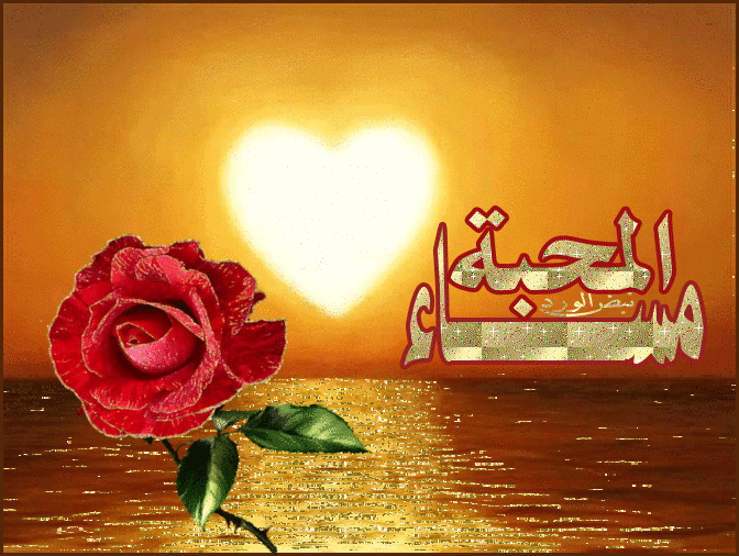 اجمل الصور مساء الخير متحركة1
