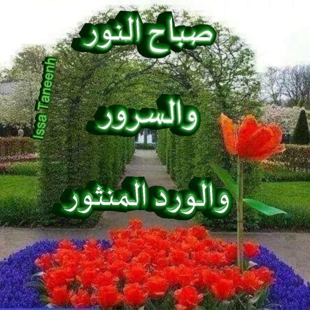 صباح النور والسرور والورد والياسمين