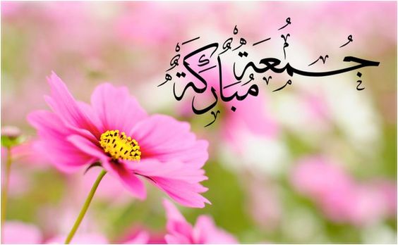 صباح الورد جمعة مباركة5