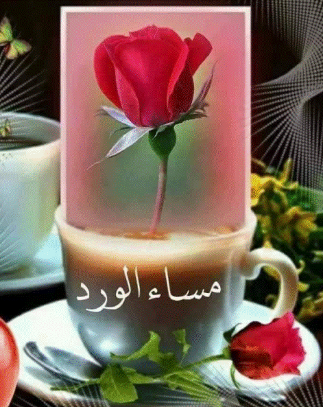 مساء الورد1