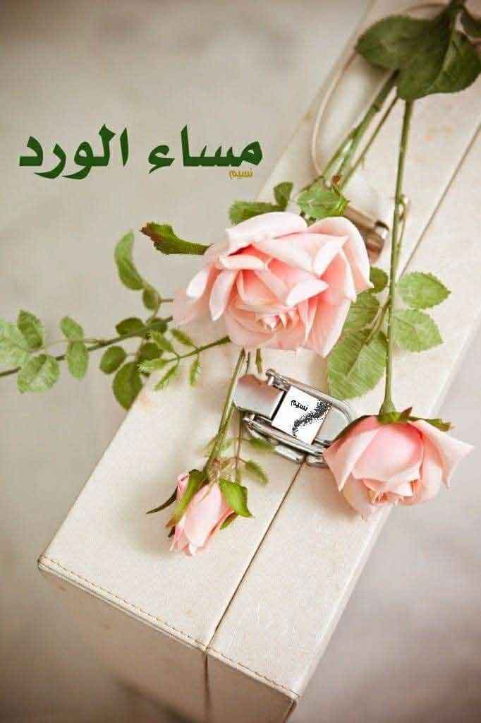 مساء الورد2