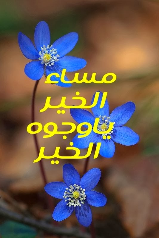 رمزيات مساء الخير1