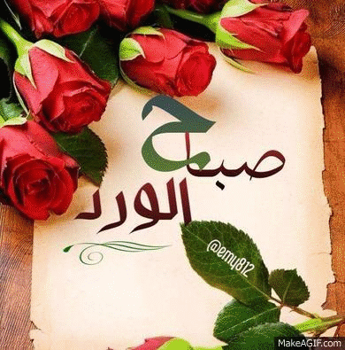 صباح الورد gif2