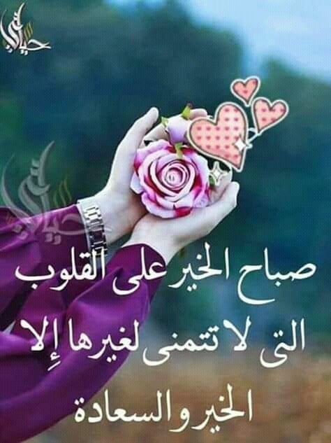 صباح النور والسرور والورد والياسمين