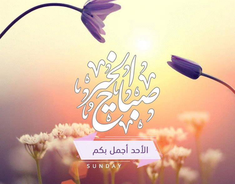 بطاقات صباح الخير روعه1