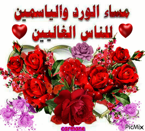 مساء النور gif4