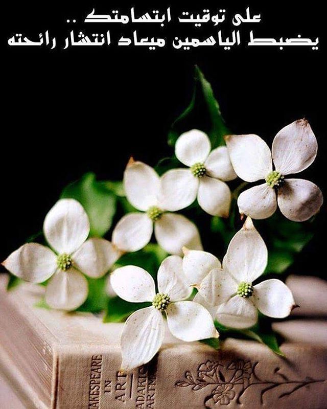 خواطر زهرة الياسمين