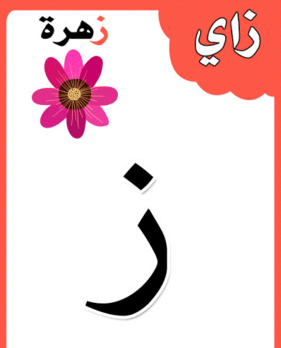 الحروف الابجدية بالصور11