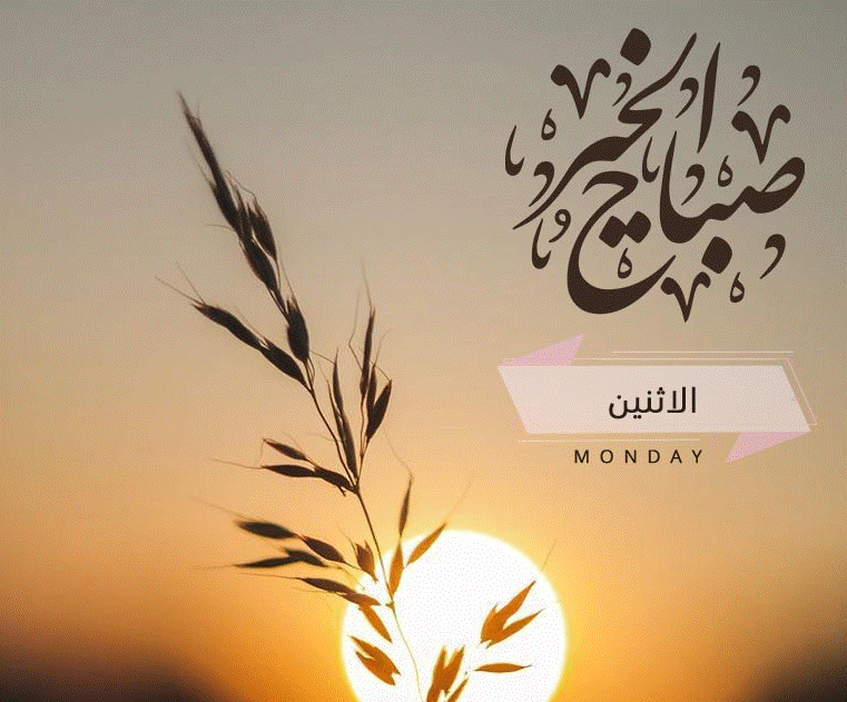 بطاقات صباح الخير روعه3
