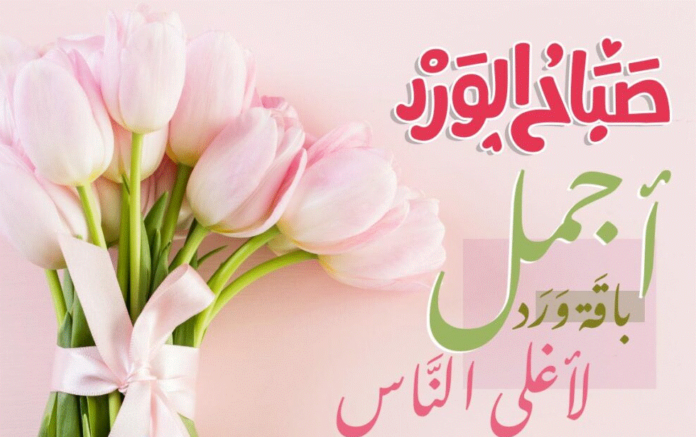 صباح الورد وعطره
