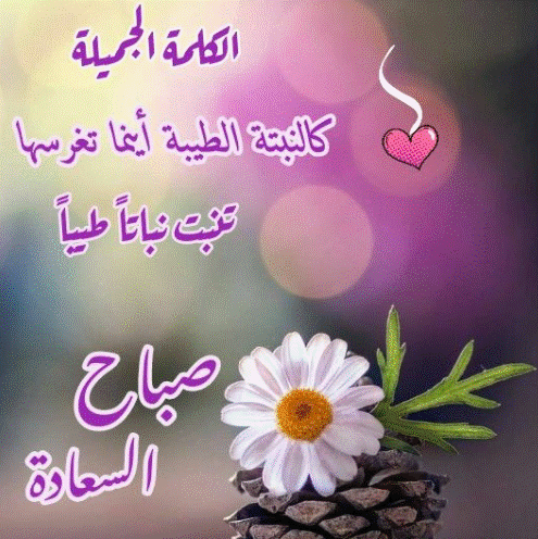صباح الورد