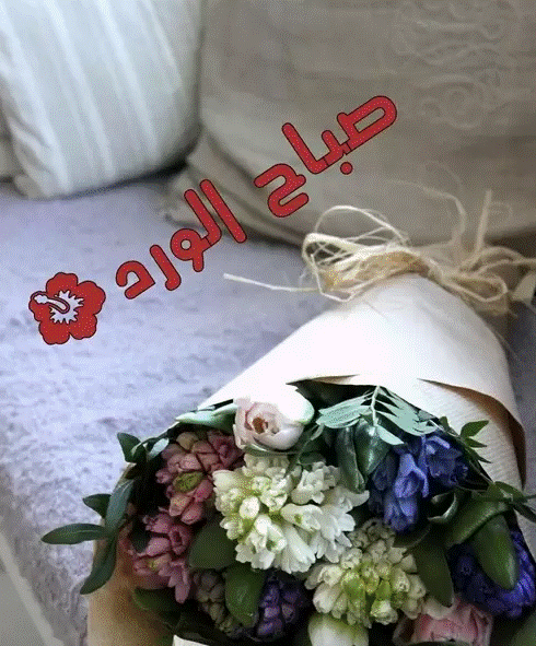 صباح النور والسرور والورد والياسمين