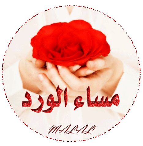 مساء الحب متحركه