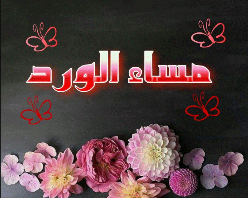 خلفيات مساء الخير 2