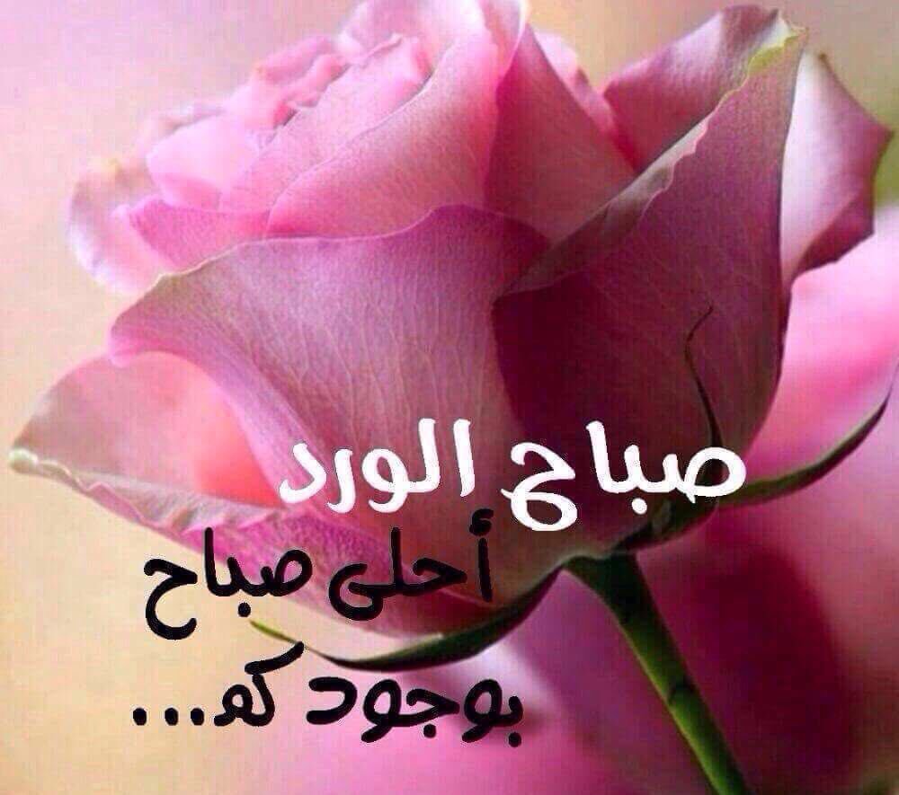 صباح الخير زوجتي حبيبتي