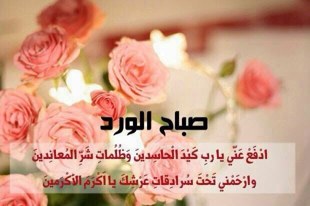 صباح الورد للورد