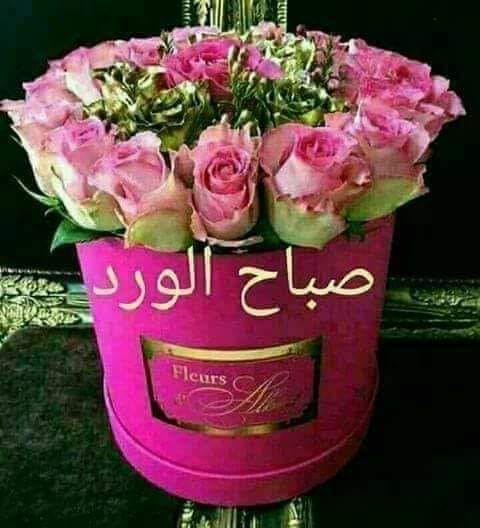 صباح الورد والفل والياسمين شعر