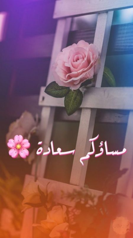مساء الخير مكتوبة بخط جميل تويتر
