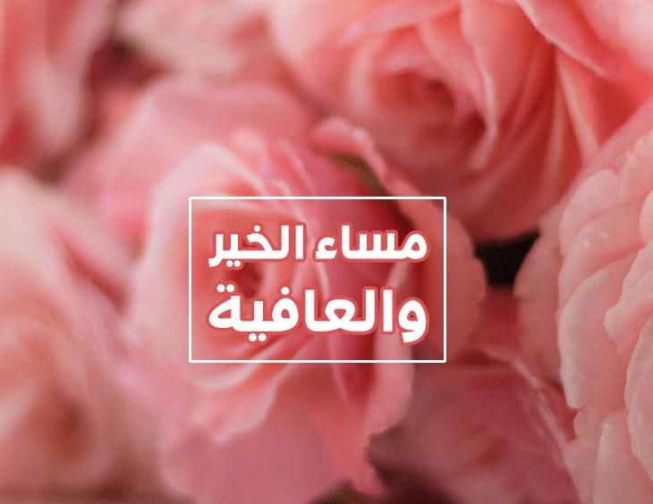 مساء الخير والعافية عليكم1