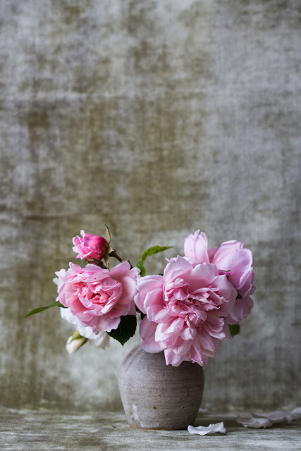 1خلفيات ورد طبيعي