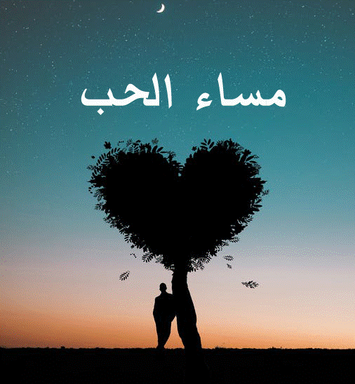 اجمل الصور مساء الخير للحبيب6