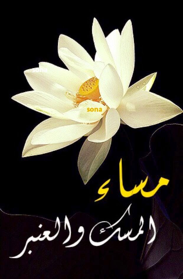 اجمل الصور مساء الخير فيس بوك5