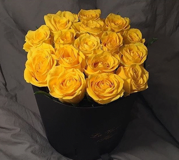 4خلفيات ورد اصفر