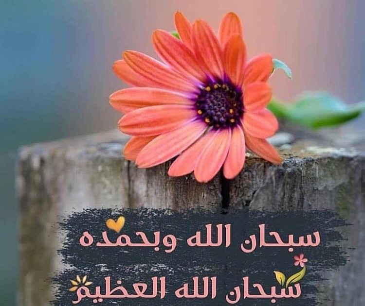 أذكار النوم تسابيح
