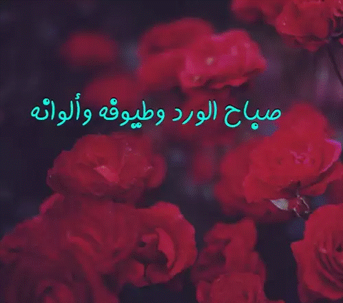 صباح الورد