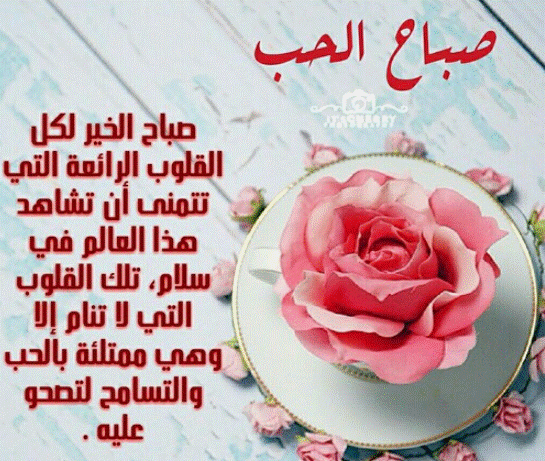 صباح الحب حبيبتي