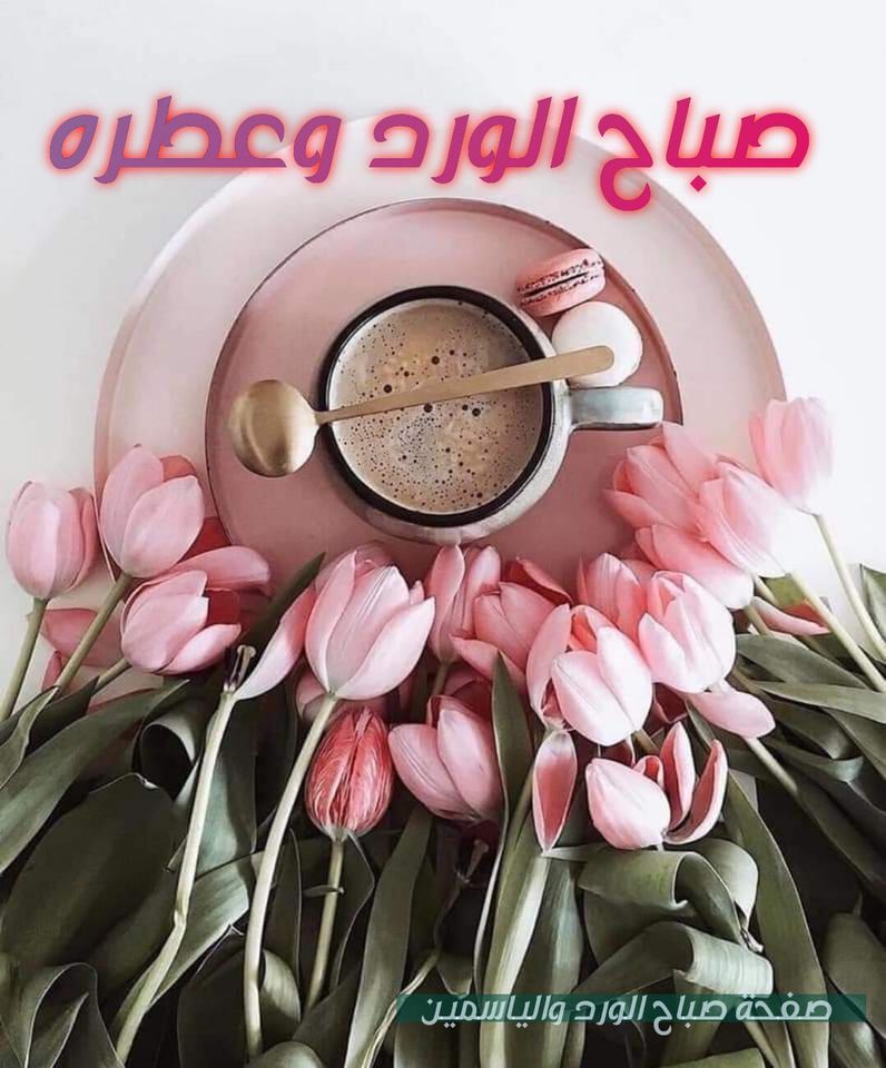 صباح الورد والفل والياسمين شعر