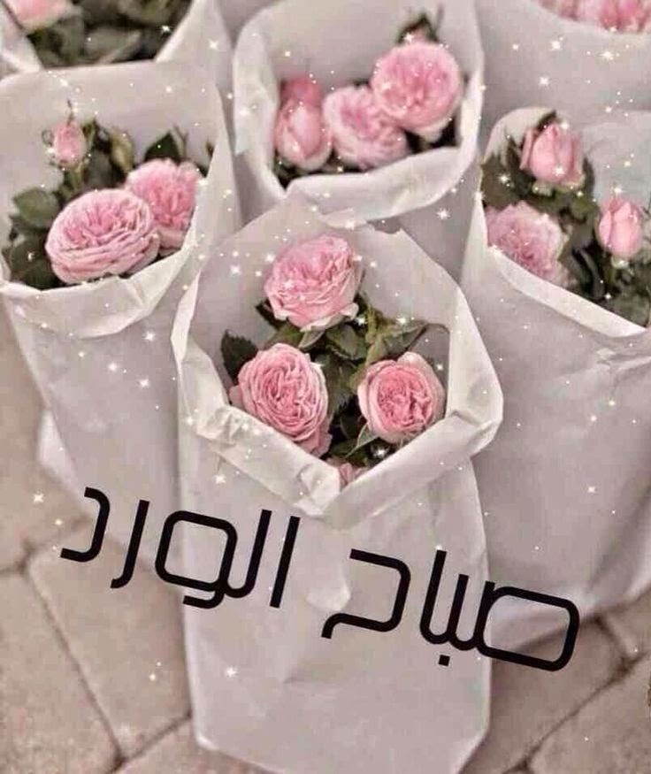 صباح الورد للغاليين