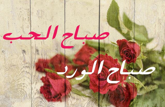صباح الورد والياسمين
